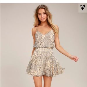 Lulu*s Beige (animal print) Skater Dress